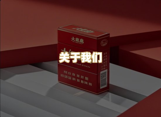 关于我们